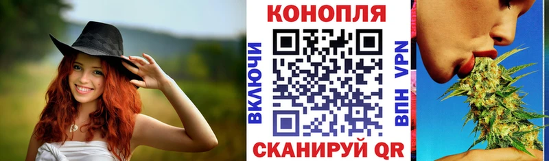 продажа наркотиков  Хасавюрт  Конопля VHQ 